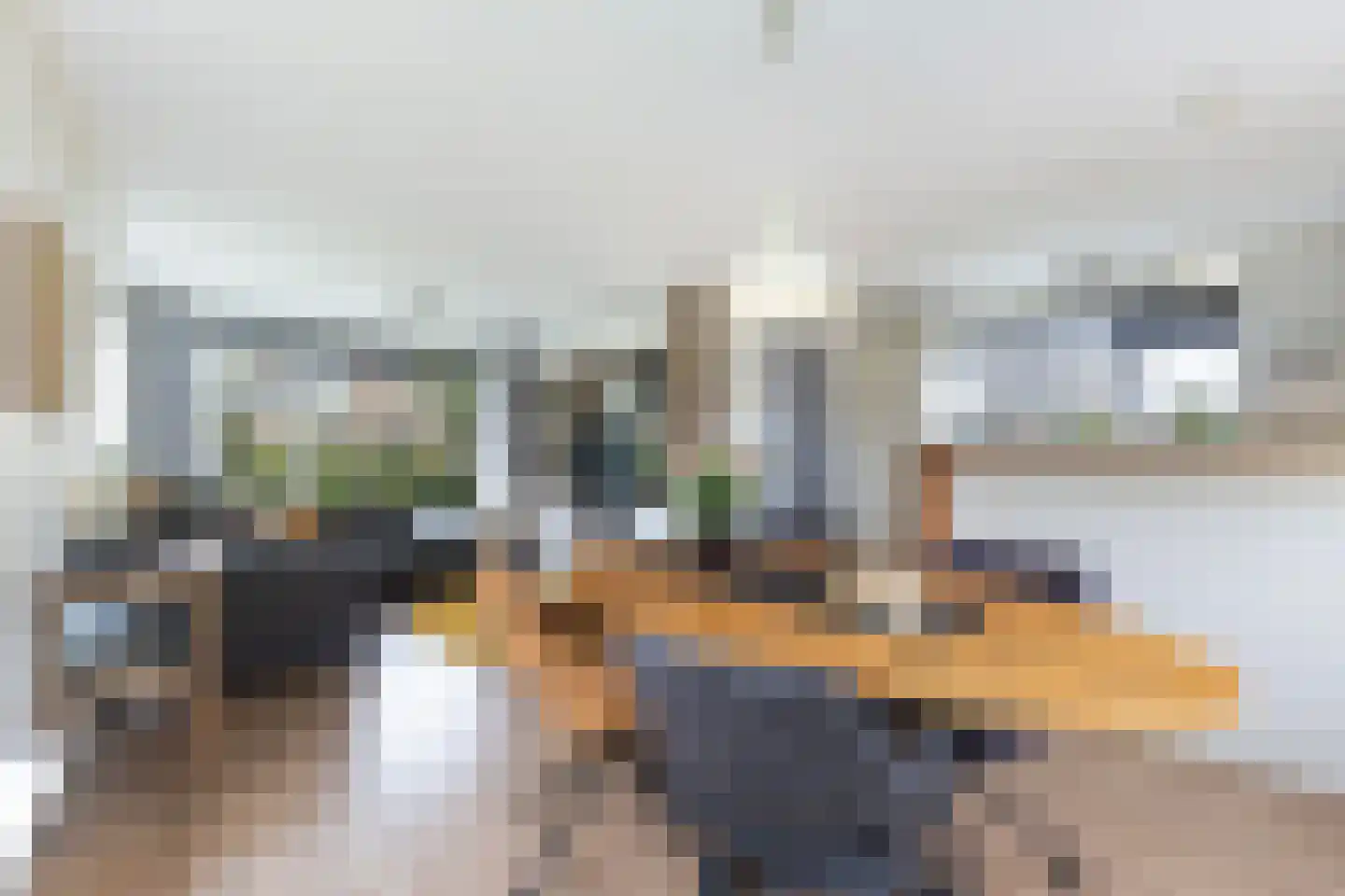 Ljurkstrjitte 25 Stiens thumbnail 6