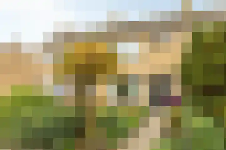 Ljurkstrjitte 4 en Stiens