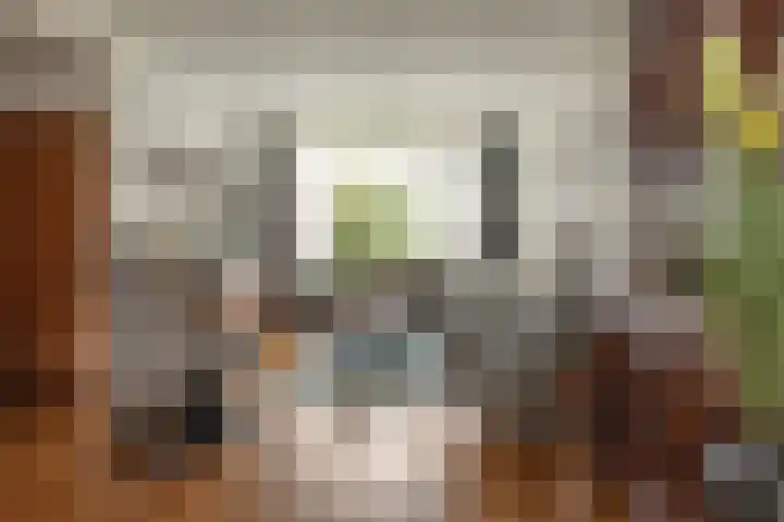 Ljurkstrjitte 4 Stiens thumbnail 10