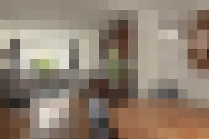 Ljurkstrjitte 4 Stiens thumbnail 17