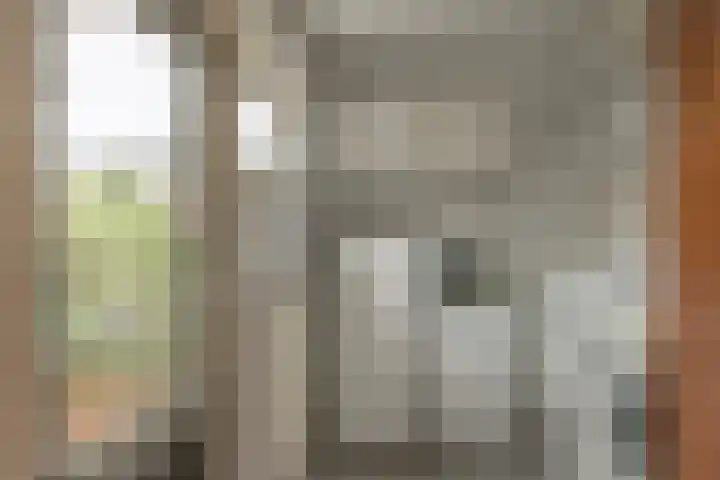 Ljurkstrjitte 4 Stiens thumbnail 21