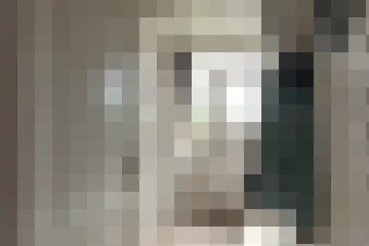Ljurkstrjitte 4 Stiens thumbnail 22