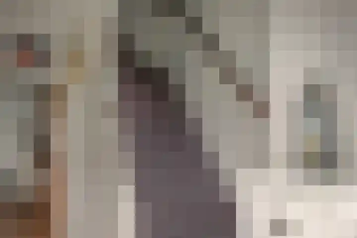 Ljurkstrjitte 4 Stiens thumbnail 24