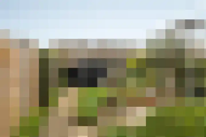 Ljurkstrjitte 4 Stiens thumbnail 5