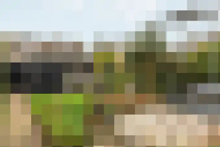 Ljurkstrjitte 4 Stiens thumbnail 6