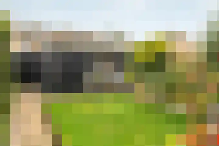 Ljurkstrjitte 4 Stiens thumbnail 8