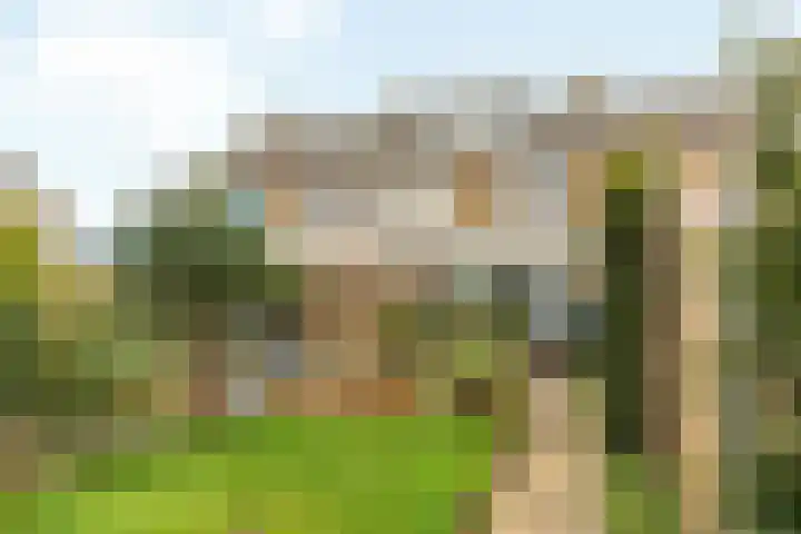 Ljurkstrjitte 4 Stiens thumbnail 9