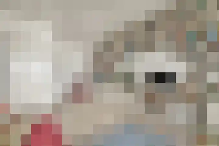 Lloydkade 449 Rotterdam thumbnail 16