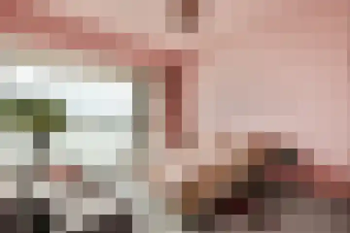 Lloydkade 449 Rotterdam thumbnail 17