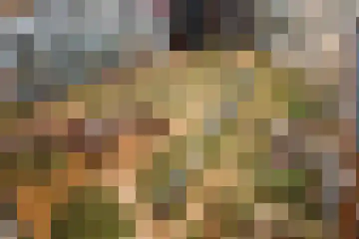 Lloydkade 449 Rotterdam thumbnail 22