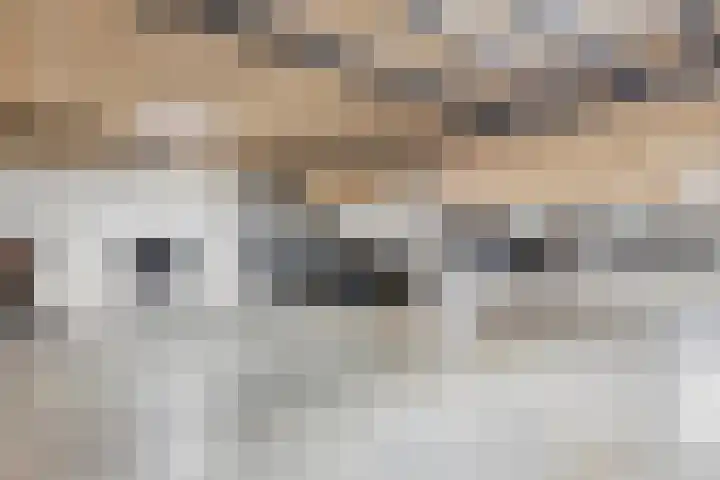 Lloydkade 461 Rotterdam thumbnail 27