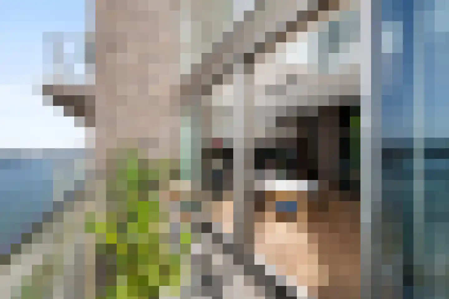 Lloydkade 463 Rotterdam thumbnail 12