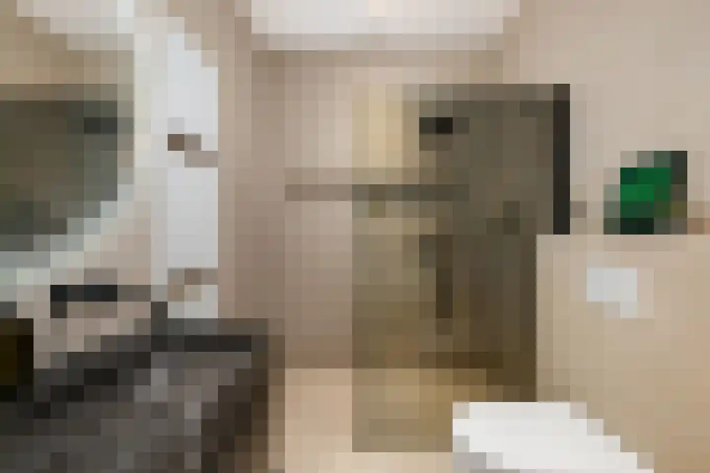 Lloydkade 463 Rotterdam thumbnail 29
