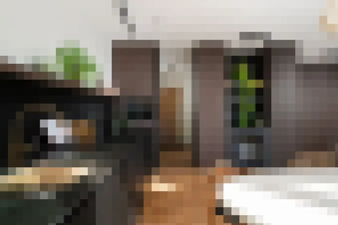 Lloydkade 463 Rotterdam thumbnail 7