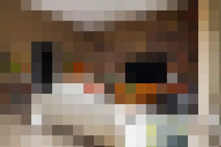 Lloydkade 487 Rotterdam thumbnail 17
