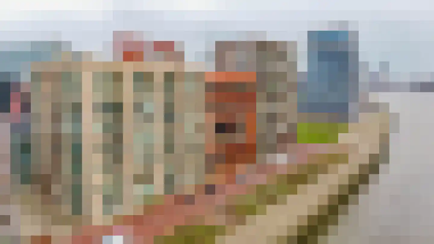 Lloydkade 487 Rotterdam thumbnail 6
