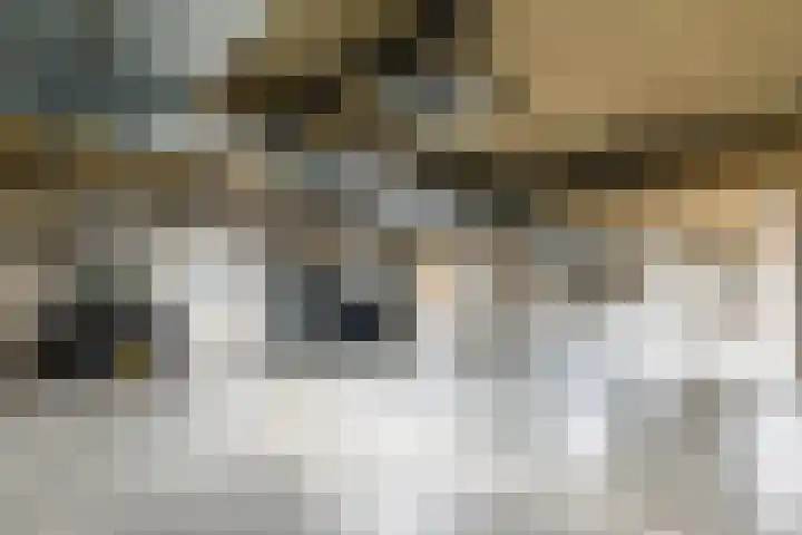 Lloydkade 527 Rotterdam thumbnail 58