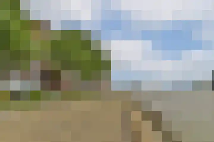 Lloydkade 603 Rotterdam thumbnail 14