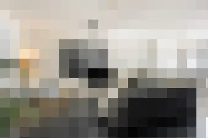 Lloydkade 603 Rotterdam thumbnail 4