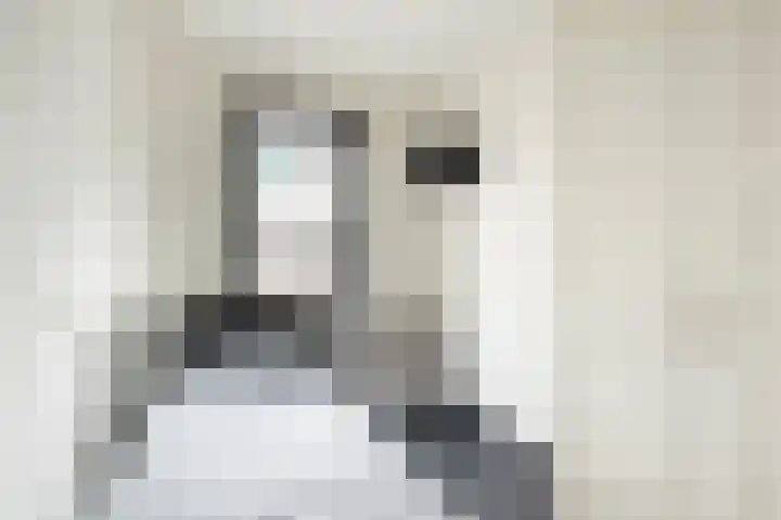 Lloydkade 603 Rotterdam thumbnail 9