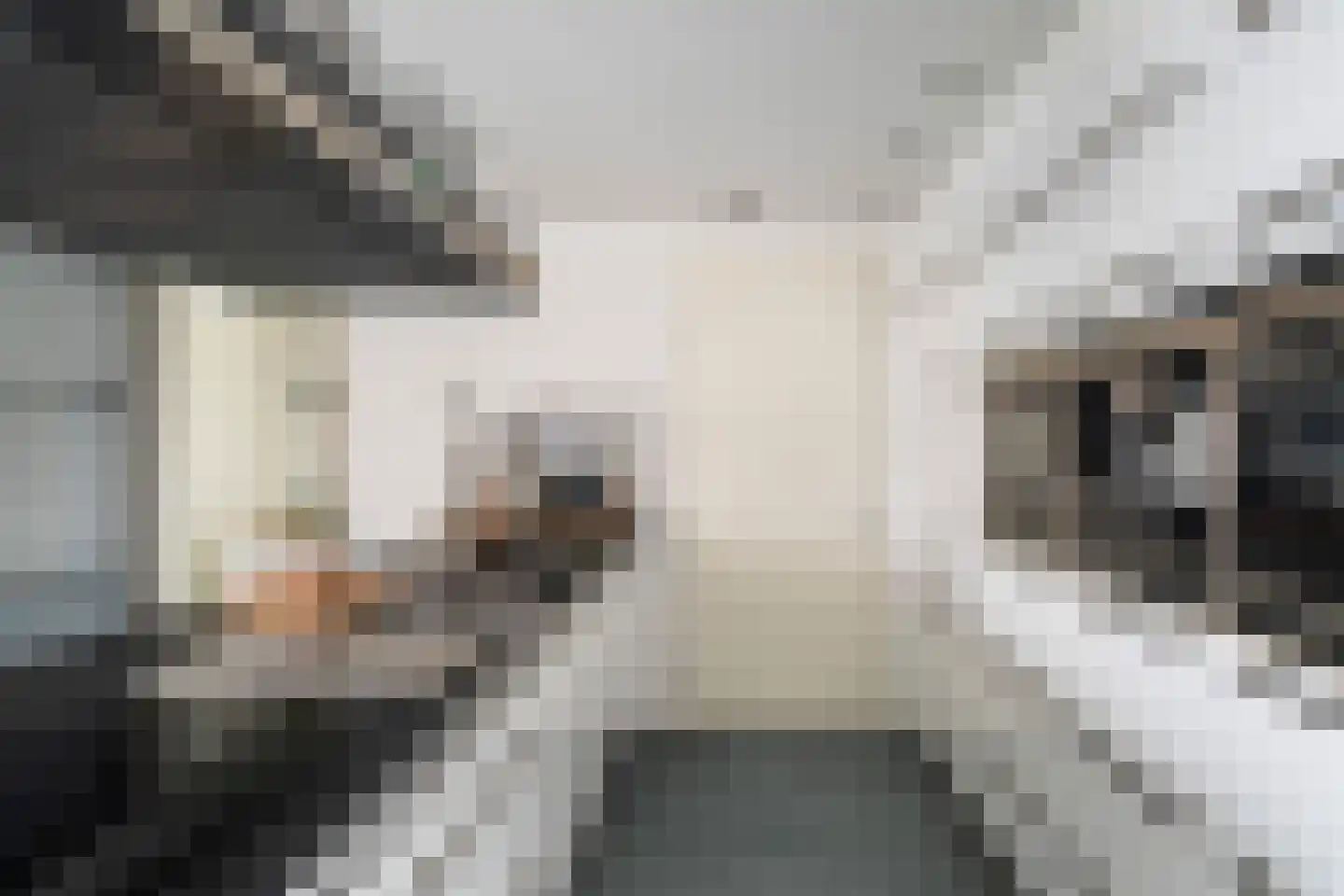Lloydkade 635 Rotterdam thumbnail 24