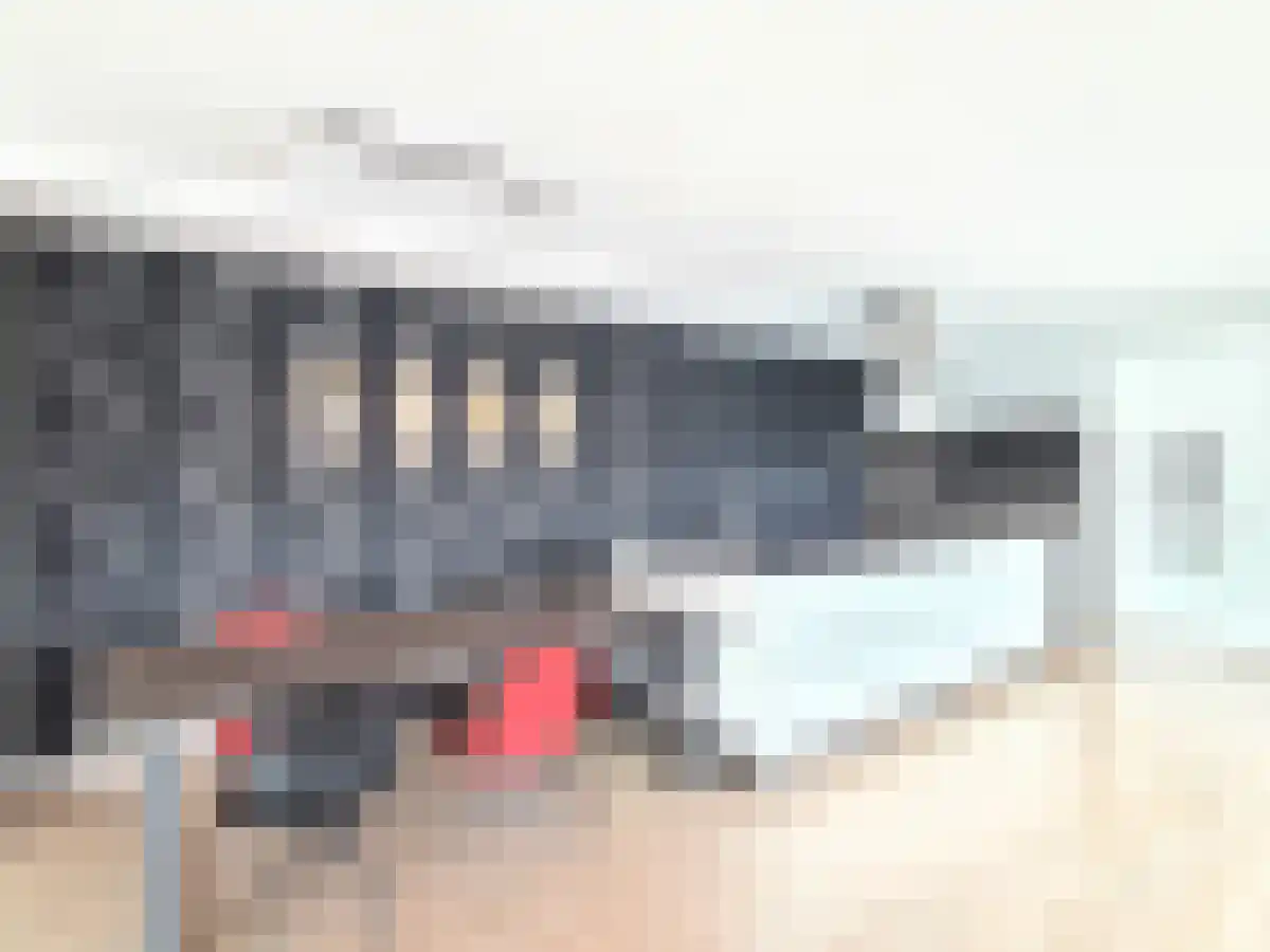 Lloydkade 661 Rotterdam thumbnail 6
