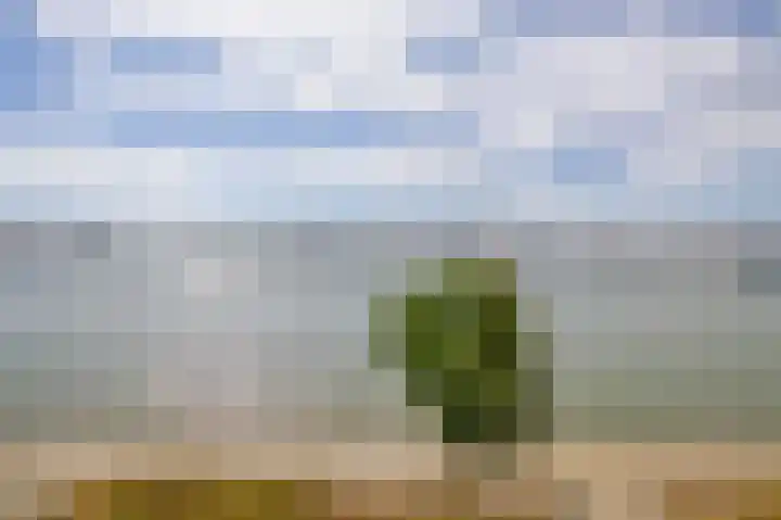 Lloydkade 701 Rotterdam thumbnail 17