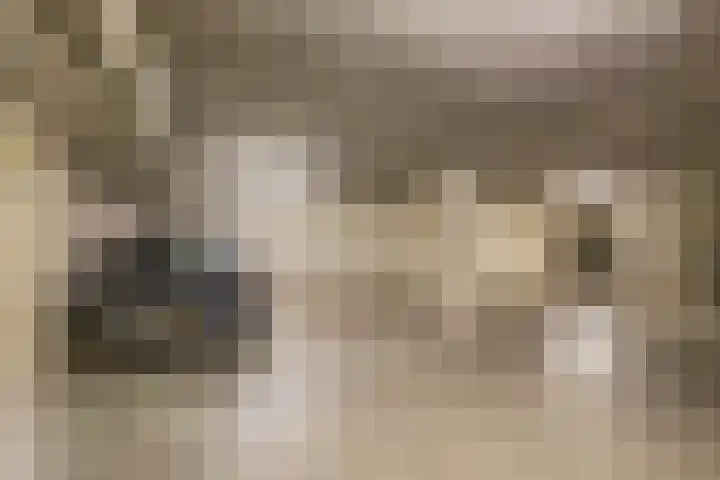 Lloydkade 701 Rotterdam thumbnail 31