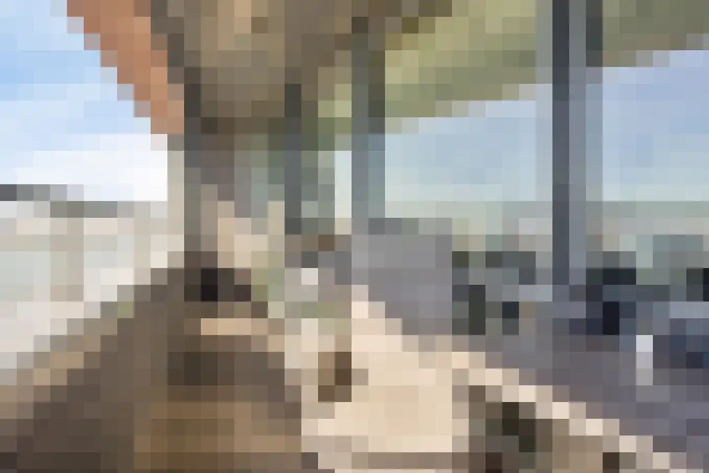 Lloydkade 729 Rotterdam thumbnail 23