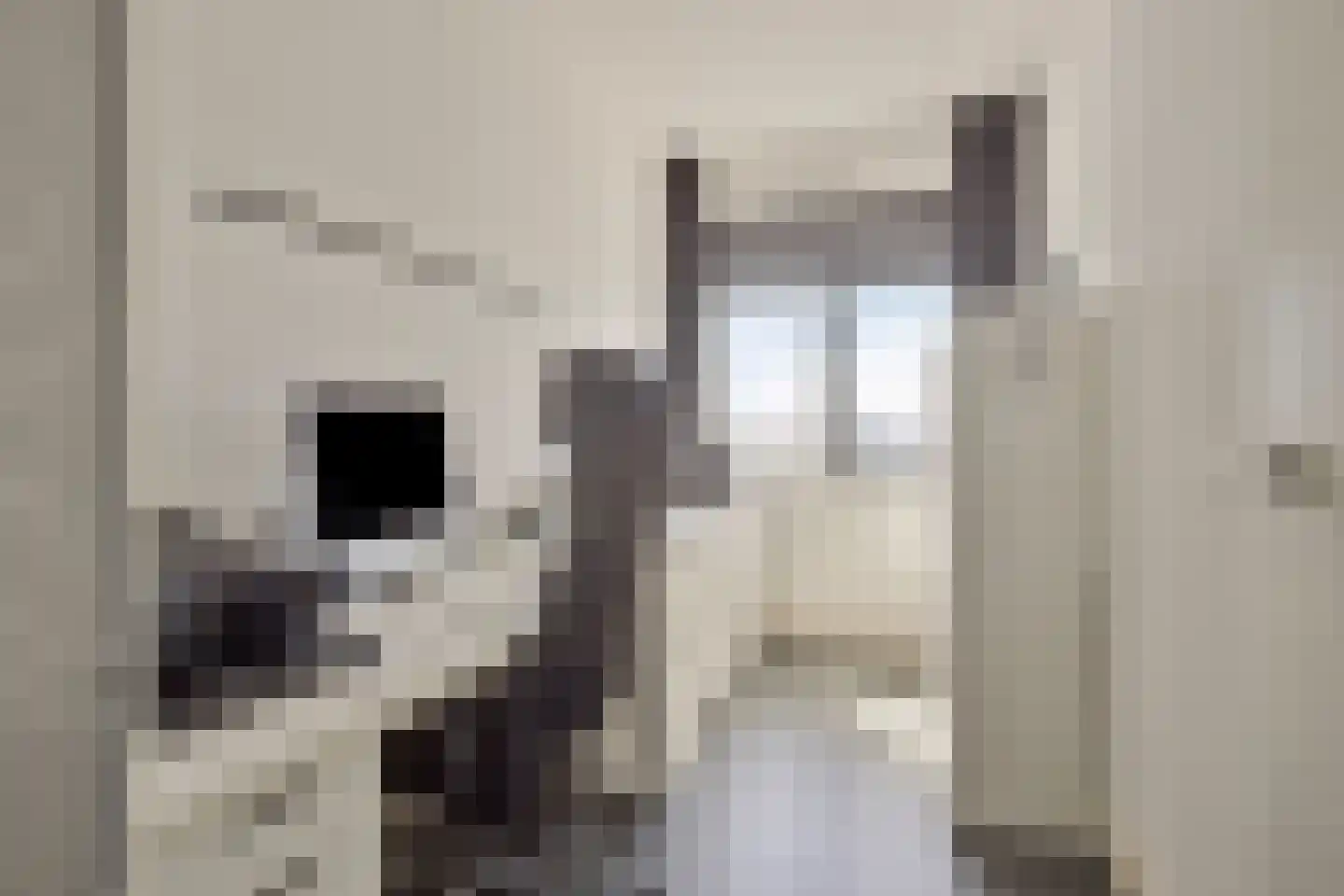Lloydkade 729 Rotterdam thumbnail 31