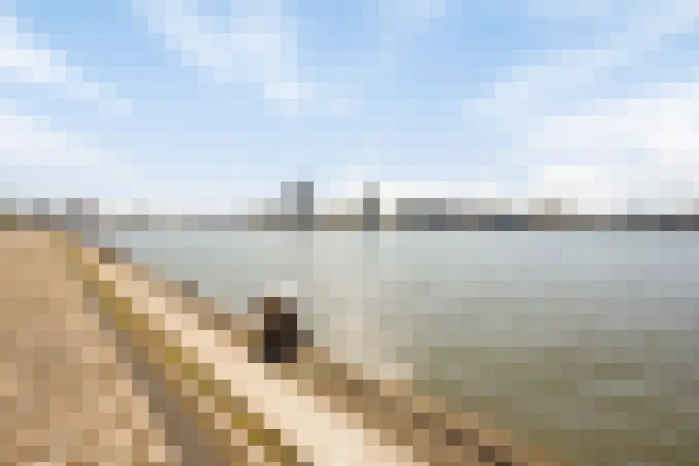 Lloydkade 729 Rotterdam thumbnail 41