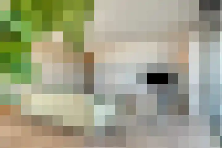 Lloydkade 733 Rotterdam thumbnail 11