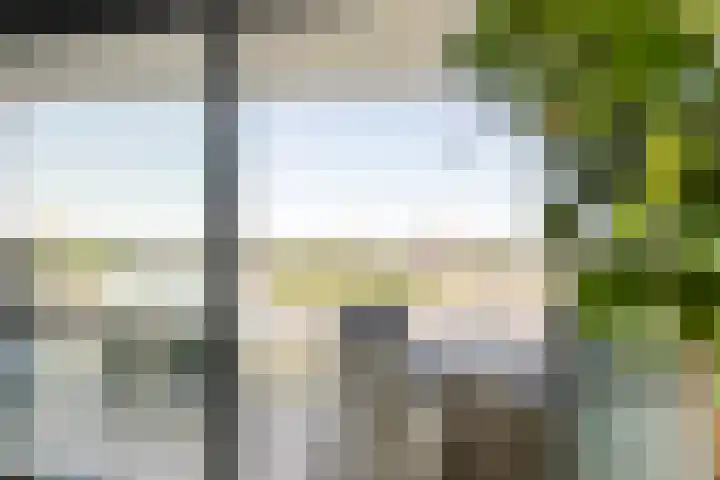 Lloydkade 733 Rotterdam thumbnail 12