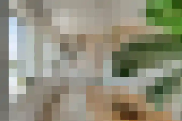 Lloydkade 733 Rotterdam thumbnail 16