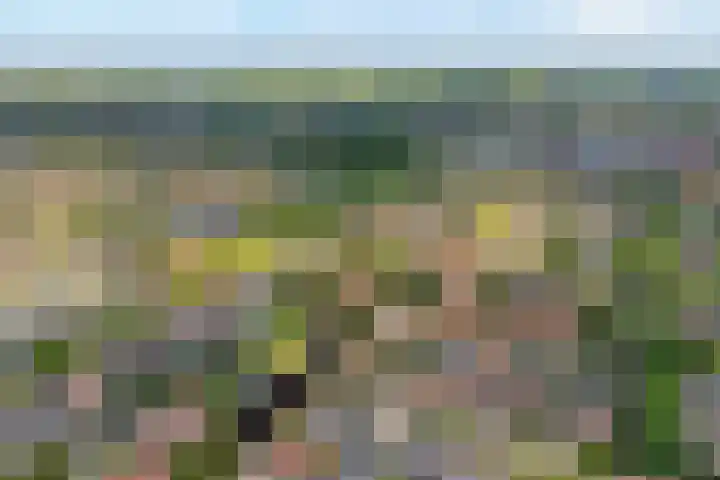 Lloydkade 733 Rotterdam thumbnail 17