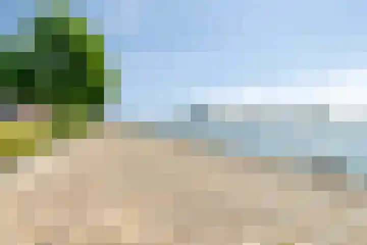 Lloydkade 733 Rotterdam thumbnail 30