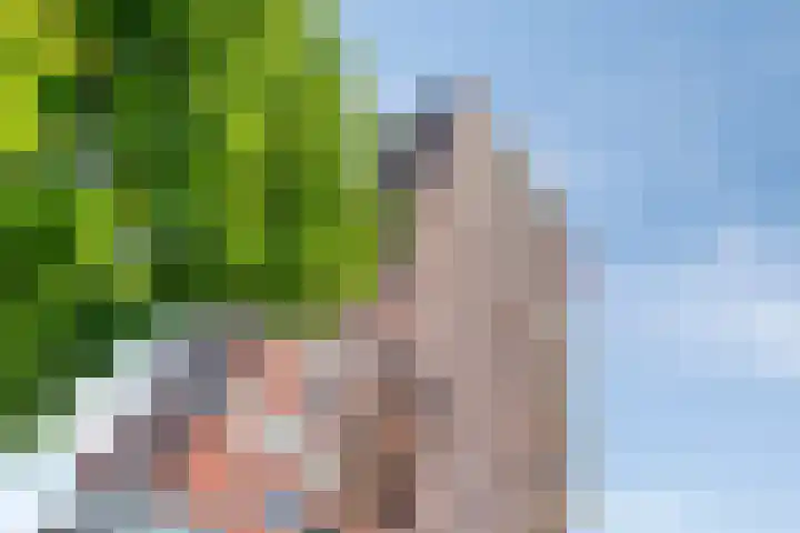 Lloydkade 733 Rotterdam thumbnail 35