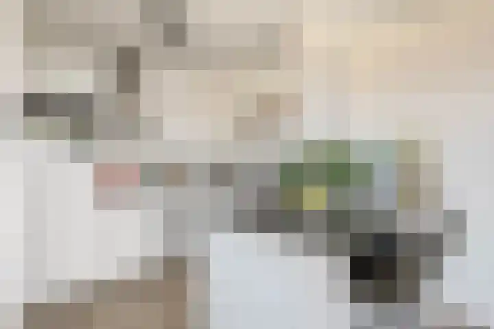 Lloydkade 799 Rotterdam thumbnail 20