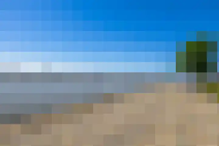 Lloydkade 799 Rotterdam thumbnail 33