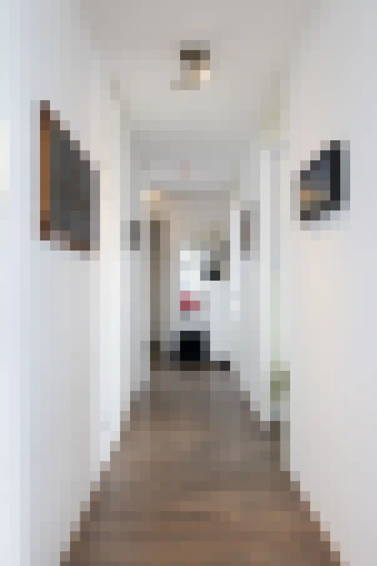Lloydkade 849 Rotterdam thumbnail 16
