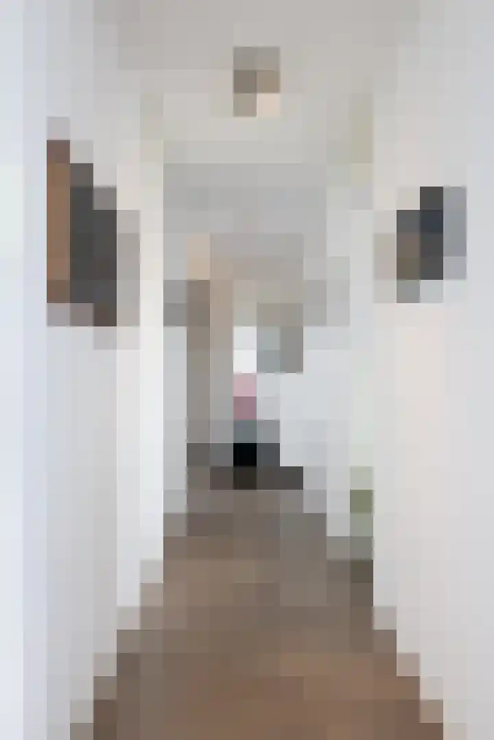 Lloydkade 849 Rotterdam thumbnail 16