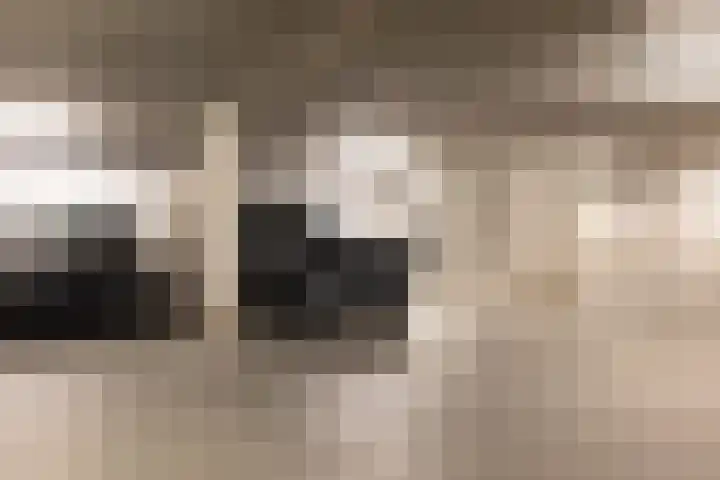 Lloydkade 849 Rotterdam thumbnail 32