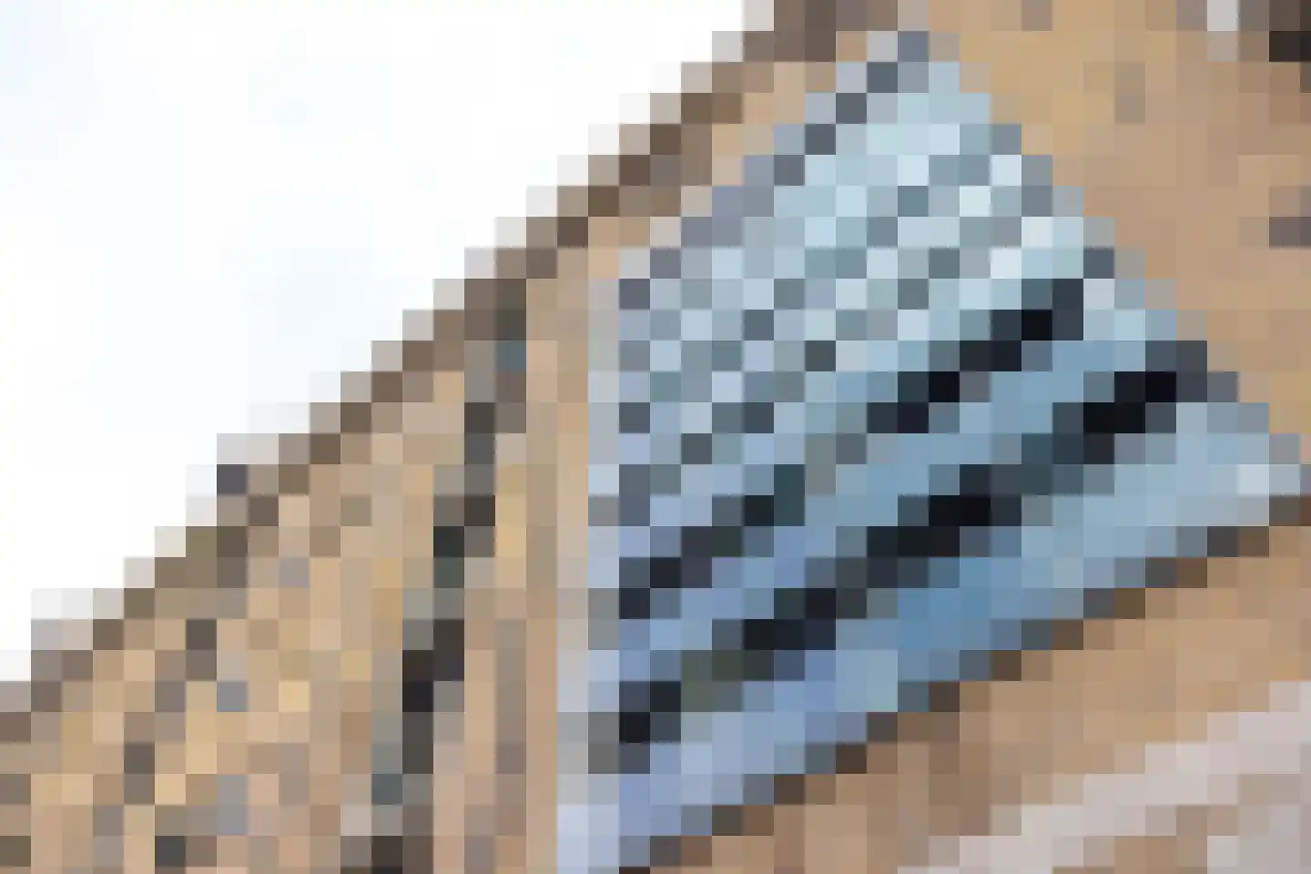Lloydstraat 160 Rotterdam thumbnail 6