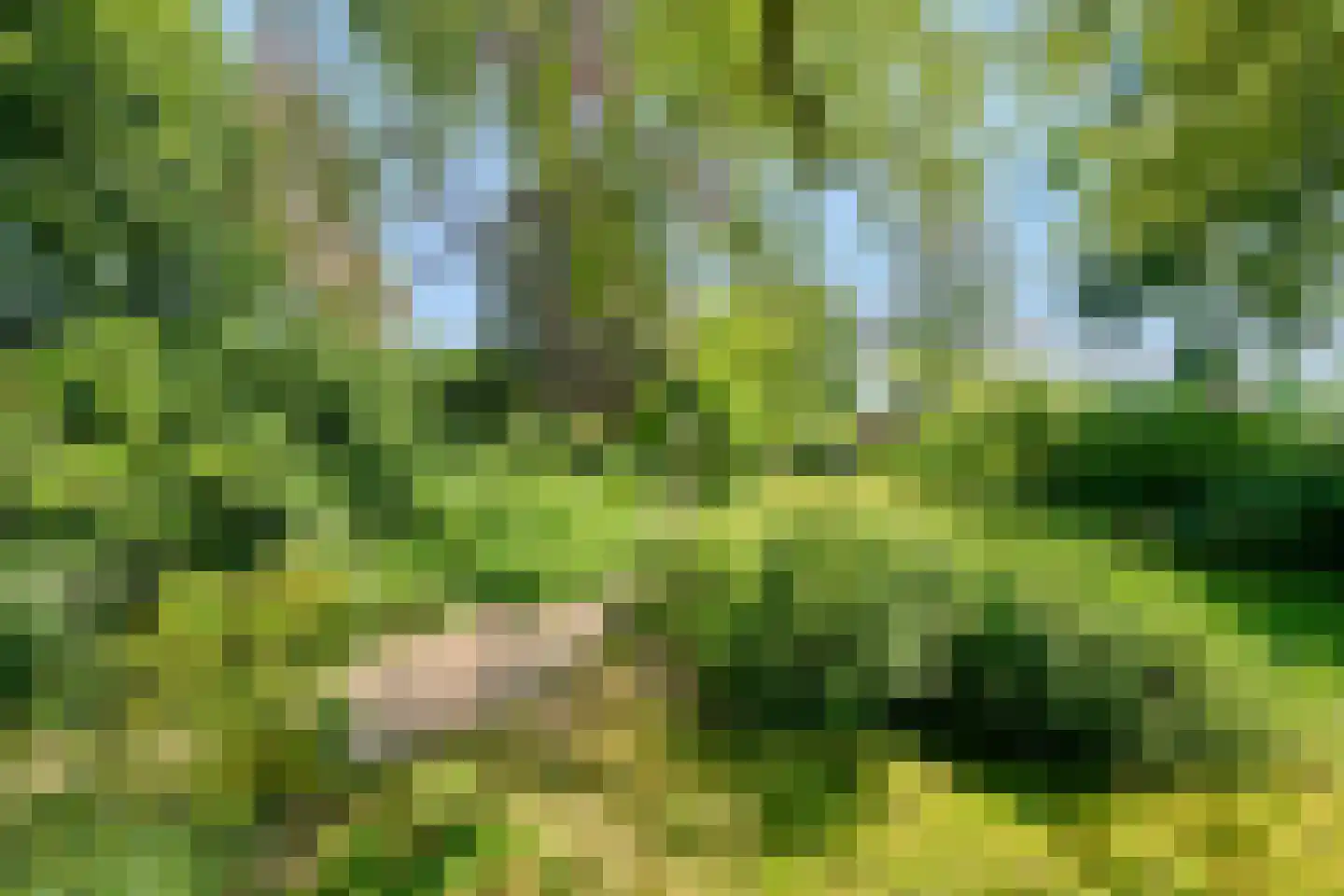 Lo Bruntpad 10 Utrecht thumbnail 21