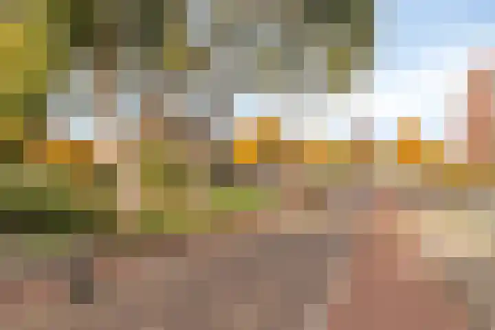 Lobbekenstorenstraat 6 Zevenbergen thumbnail 21