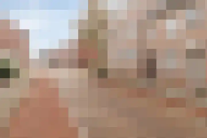 Lobbekenstorenstraat 6 Zevenbergen thumbnail 22