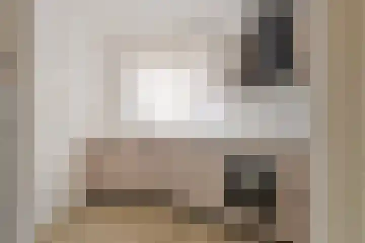 Lobbekenstorenstraat 6 Zevenbergen thumbnail 5