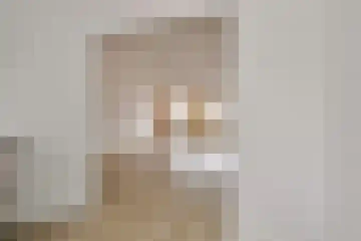 Lobbekenstorenstraat 6 Zevenbergen thumbnail 8