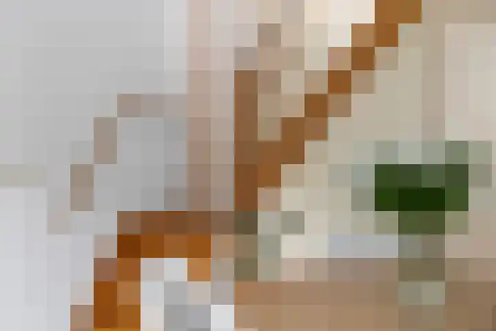 Lobbendijk 11 a Houten thumbnail 20