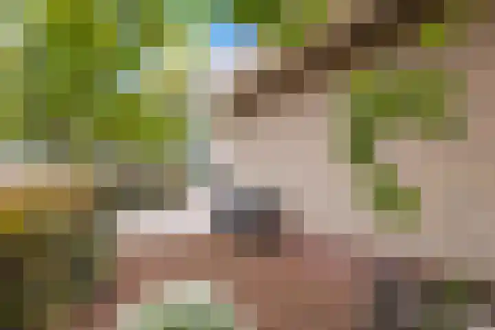 Lobbendijk 11 a Houten thumbnail 32